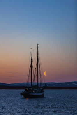 Sailing ship at moon light, Scoresby Sund