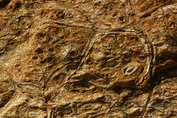 Sand roses, Cape Woolamai, Phillip Island