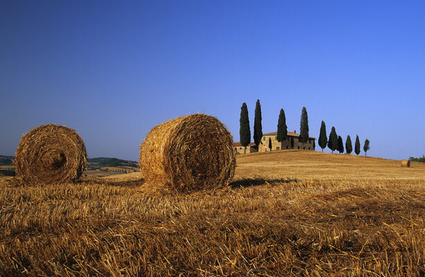 Farmhouse, Tuscany, Italy