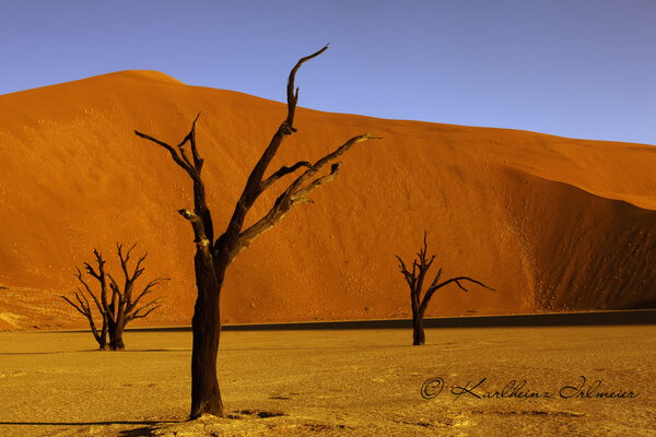 Deadvlei, Sossusvlei, Namib Desert