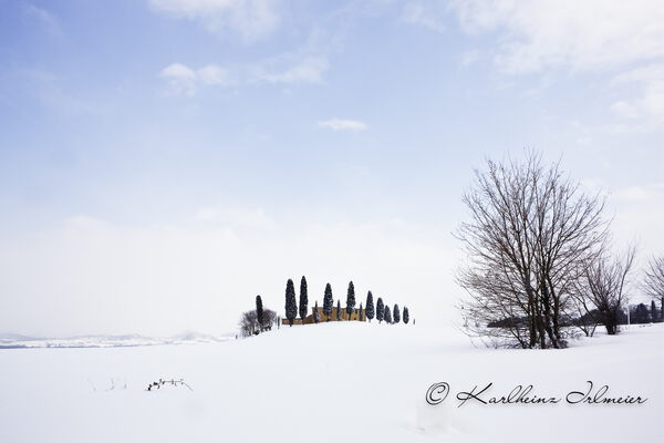 Cypress trees (Cupressus) and farmouse near Pienza, snowy landscape, Tuscany