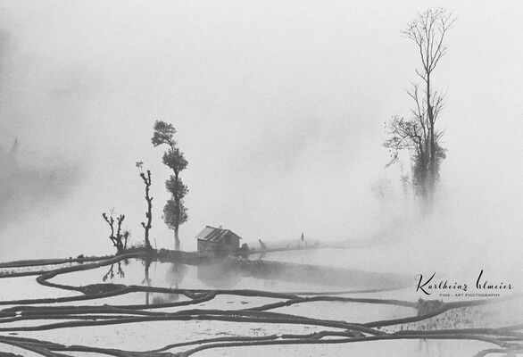 Yuanyang Rice Terraces