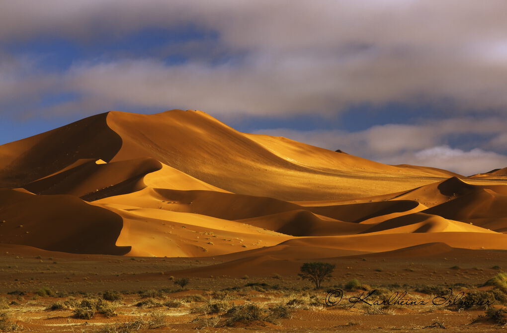 Sand dune, Sossusvlei, Namib Desert