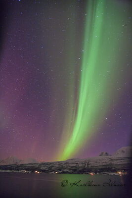 Norway - Aurora Borealis