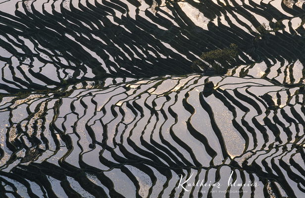 Yuanyang Rice Terraces