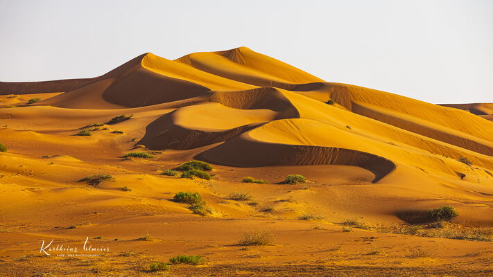 Sand desert Rub al Khali, sand dunes