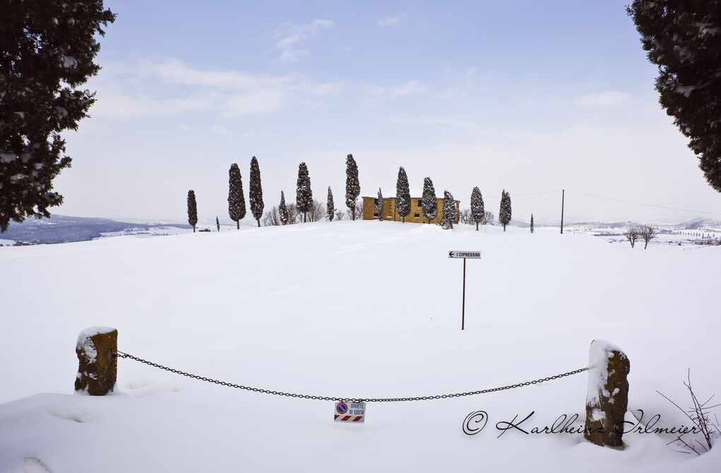 Cypress trees (Cupressus) and farmouse near Pienza, snowy landscape, Tuscany