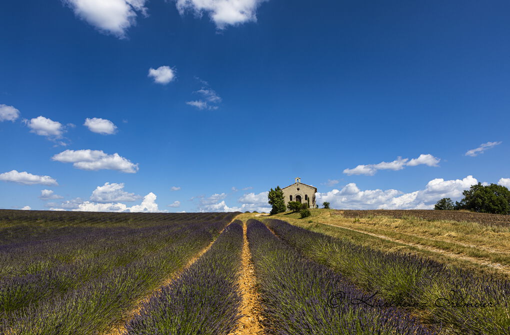 Lavender field and chapel near Entrevennes