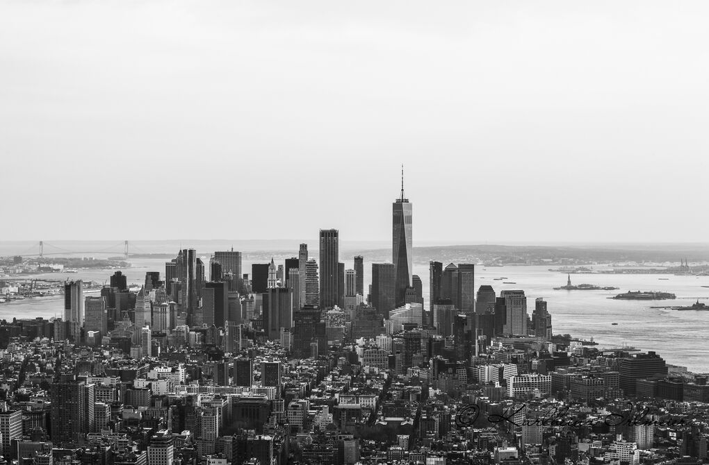 Financial District and One World Trade Center, View from Empire State Building, Manhattan, New York City