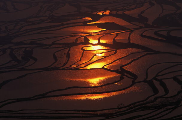 Rice Terrace, Yuanyang, China