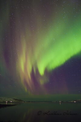 Norway - Aurora Borealis