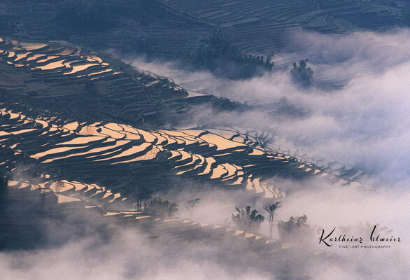 Yuanyang Rice Terraces