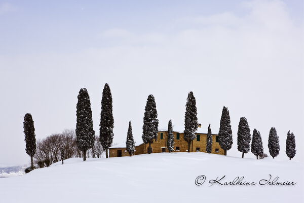 Cypress trees (Cupressus) and farmouse near Pienza, snowy landscape, Tuscany