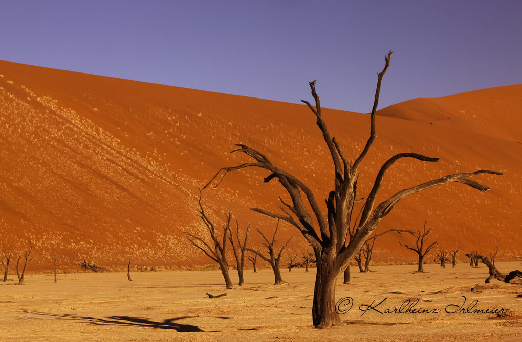 Deadvlei, Sossusvlei, Namib Desert