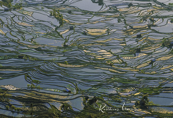 Yuanyang Rice Terraces