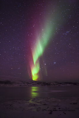 Norway - Aurora Borealis