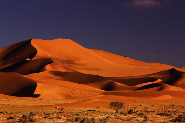 Sand dune, Sossusvlei, Namib Desert