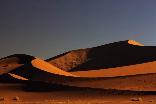 Sand dune, Sossusvlei, Namib Desert