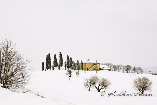 Cypress trees (Cupressus) and farmouse near Pienza, snowy landscape, Tuscany