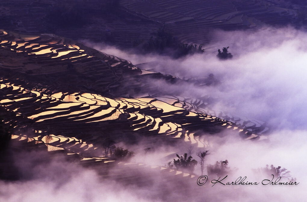 Rice Terrace, Yuanyang, China