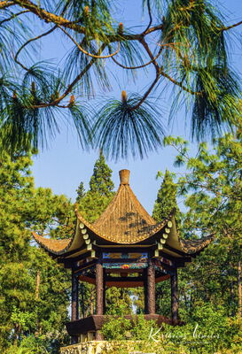 Shilin Stone Forest, Pagoda