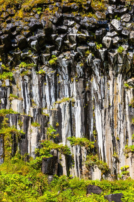 Basalt columns near Svartifoss, Skaftafell national park, Sudurland, southern Iceland