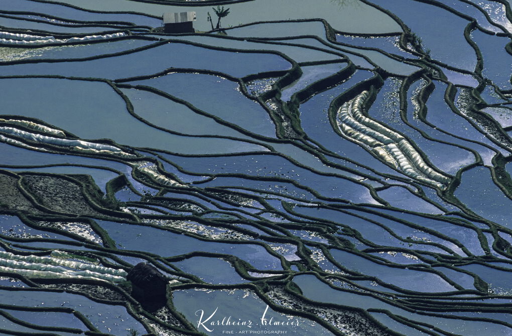 Yuanyang Rice Terraces