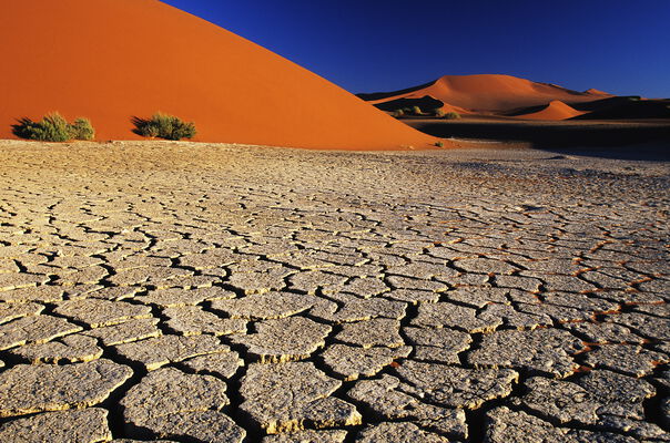 Dry Earth, Sossusvlei, Namibia