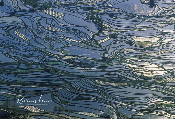 Yuanyang Rice Terraces