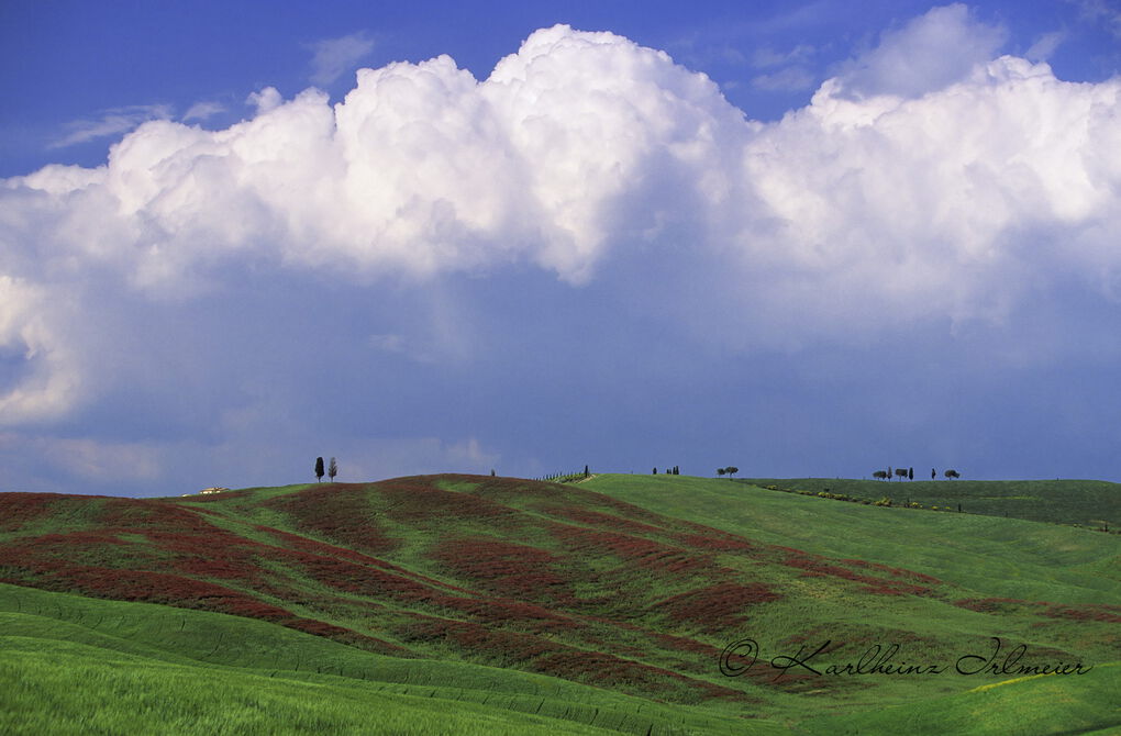 Hilly landscape with green field, Tuscany