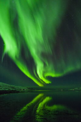 Norway - Aurora Borealis