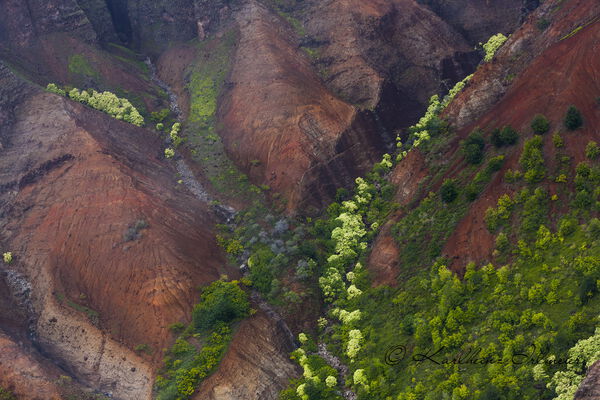 Waimea Canyon, Kauai, Hawaii