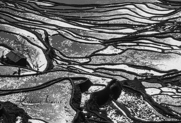 Yuanyang Rice Terraces