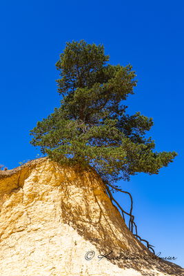 Colorado Provencal, Rustrel, Provence