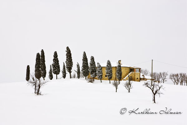 Cypress trees (Cupressus) and farmouse near Pienza, snowy landscape, Tuscany