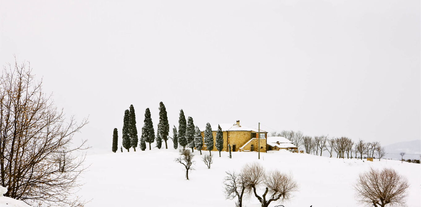 Cypress tress (Cupressus) and farmhouse near Pienza, snowy landscape, Tuscany