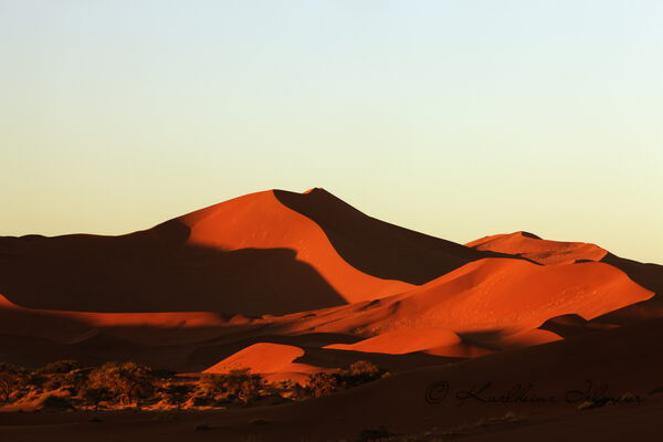 Sand dune, Sossusvlei, Namib Desert