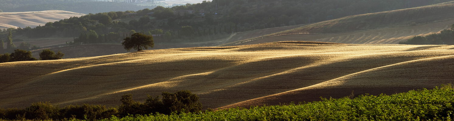 Panorama